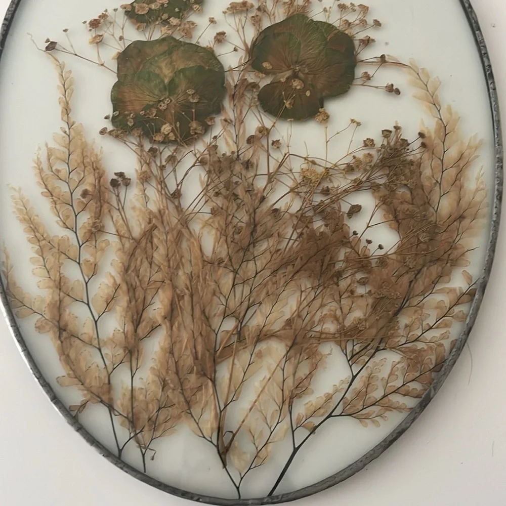 Wall Art dried butterflies and flowers Set of 2